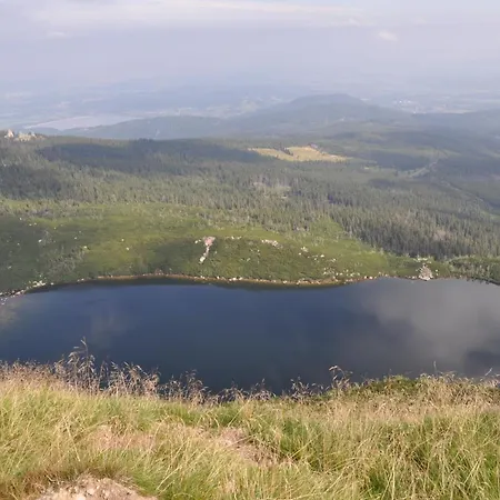Czarnotka *